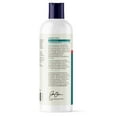 thumbnail image 3 of Vetnique DermaBliss Vet Strength Medicated Anti-Itch & Allergy Relief Shampoo for Dogs and Cats, 16 fluid ounces, 3 of 11