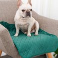 thumbnail image 3 of Revestimientos para jaulas, almohadillas reutilizables para entrenamiento de perros, almohadilla absorbente lavable, alfombrilla ordenada para ropa de cama para animales pequeños, cobayas, hámsteres, 3 of 5