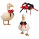 thumbnail image 1 of Collar de pato, collar de ganso, pajarita ajustable para mascotas, aves de corral, accesorios de disfraz de animales pequeños, regalo para el día de San Valentín, Navidad, Halloween, cumpleaños, boda, paquete de 2 brillar Electrónica, 1 of 5