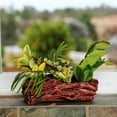 thumbnail image 6 of Ceramic Wood Plant Pot | Indoor Planter for Succulents & Flowers (Redwood Knotted), 6 of 6