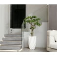 thumbnail image 6 of 59.6'' Artificial Pine tree in a Square beige fiberstone planter perfect for indoor and outdoor use, 6 of 6