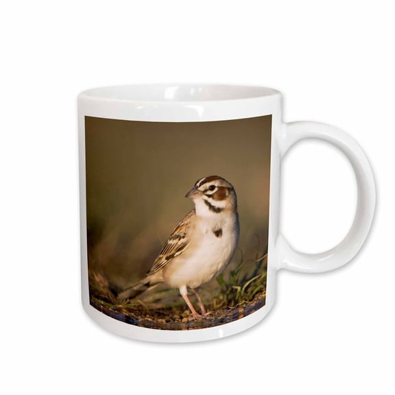 3drose, Lark Sparrow Bird Drinking, Hill Country, Texas - Na02 Rnu0175 - Rolf Nussbaumer, 15oz Mug