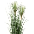thumbnail image 2 of Vickerman 24" Artificial Potted Green Grass., 2 of 5