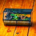 thumbnail image 2 of NCYP Small Stainless Steel Hexagon Shaped Enclosure Terrarium with Mesh, 4.7x7.8x4.1 inches Tabletop Jumping Spider, Small Insect Habitat, Horizontal Placed (Terrarium Only), 2 of 12
