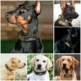 thumbnail image 3 of Didog Personalized Dog Pet Collar with Handle Custom Reflective Nameplate M-XL, 3 of 8