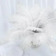 thumbnail image 2 of Balsa Circle 12 Pieces 13"-15" Authentic Ostrich Feathers Centerpieces, 2 of 8