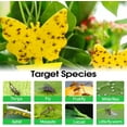 thumbnail image 5 of 58 Pack Flying Insect Traps for Plants – Yellow Sticky Traps for Fungus Gnats, Flies & Flying Bugs, Indoor Outdoor Flying Bug Catcher for Pots, Garden & Kitchen, Non-Toxic, Odorless, Kid & Pet Safe, 5 of 5