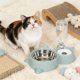 thumbnail image 5 of Cuenco de acero inoxidable para gatos con dispensador automático de agua, comedero para mascotas 2 en 1, bebedero de gravedad limpio e infalible para mascotas pequeñas y medianas. Cuenco de plástico p, 5 of 6