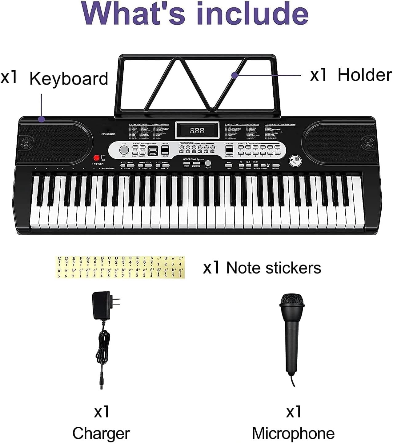 Danolapsi Piano Keyboard,61 Key Keyboard Piano for Beginner/Professional,Portable Keyboard Electric Piano with Microphone and Headphone Mode (Headphones+Mic+Stand+Stool)