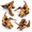M:Mopani Driftwood (6.5 - 12 inches/4 Pack), variant on Large Driftwood For Aquarium Reptile Terrarium Decor Decorationsorted Branches Bearded Dragon Tank Accessories (11.5-16 Inches/1 P