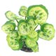 thumbnail image 3 of Decoración de plantas artificiales del acuario Decoración de peces de planta de piel de oro, 3 of 4