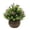 I, variant on FENGGHAO Artificial Potted Plant Small Fake Eucalyptus Tabletop Succulent For Desk Home Office Decor Yellow