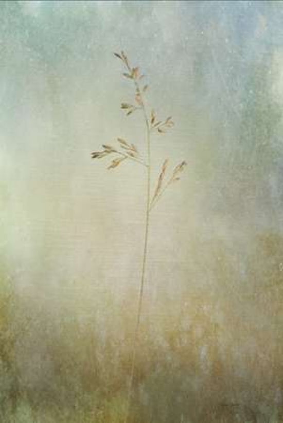 Marsh Grass Canvas