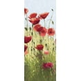 thumbnail image 4 of Shirley Novak 8x14 Black Modern Wood Framed Wall Art Titled - Mountain Poppies I - Wag, 4 of 6