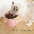 thumbnail image 2 of Cuenco elevado de cerámica para gatos CEEFU, extra ancho, rosa, 2 of 6