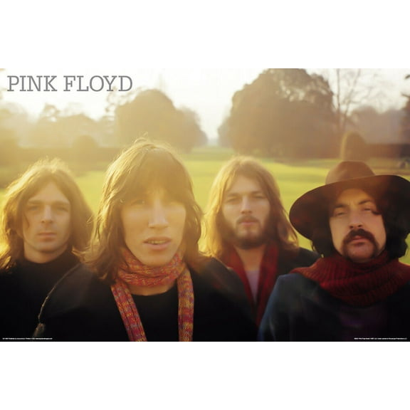 Poster - Studio B - Pink Floyd - Early Year 24x36" Wall Art N241462