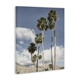 thumbnail image 3 of Stupell Industries Palm Springs Looming Trees Canvas Wall Art design by Danita Delimont, 30 x 24, 3 of 7