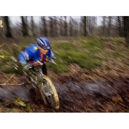 Young Male Recreational Mountain Biker Riding in the Forest Print Wall