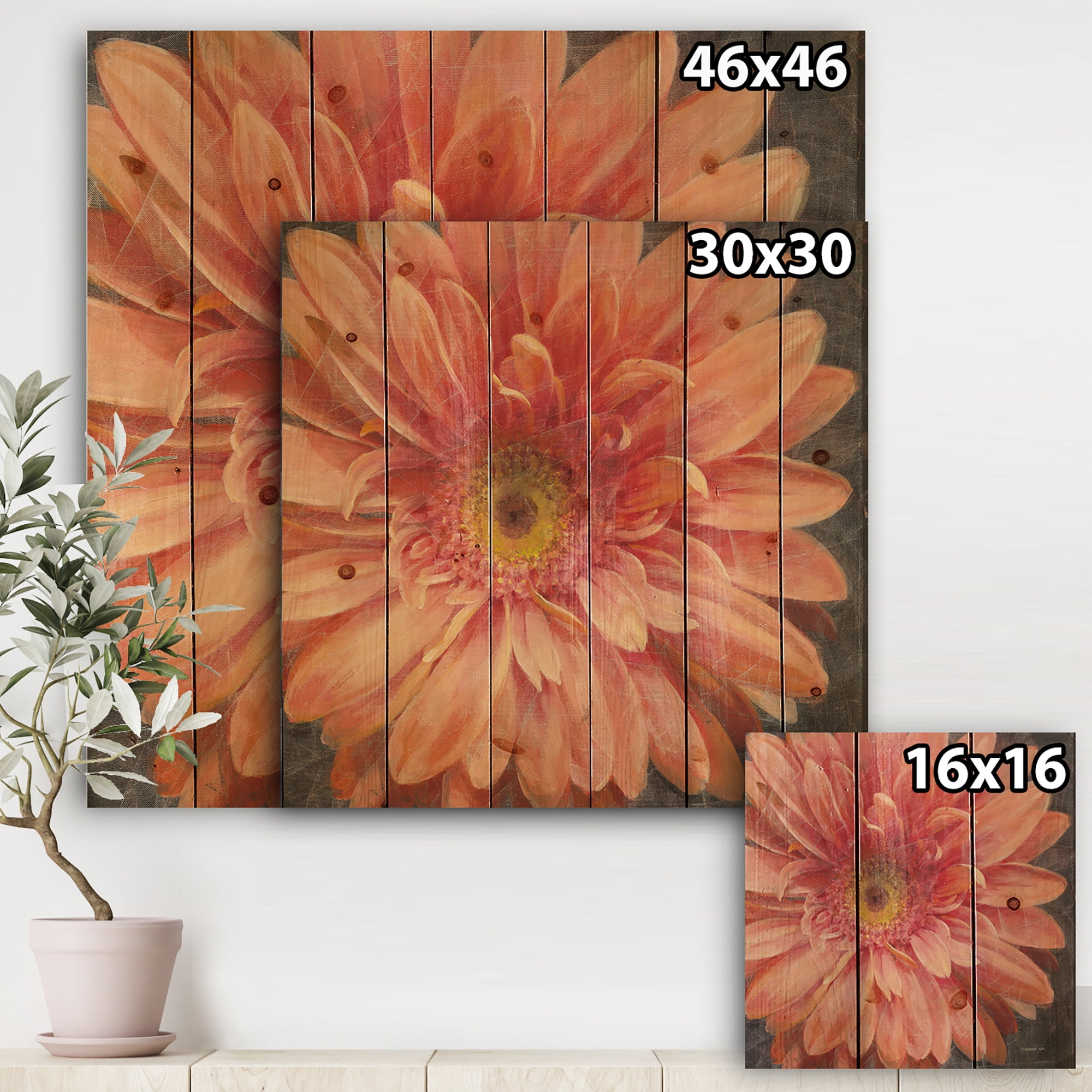 Designart 'Vivid Orange Daisy II' Shabby Chic Print on Natural Pine Wood