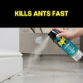 thumbnail image 3 of Raid Ant Killer 26, Insecticide Spray for Home, Pine Forest Fresh Scent, 17.5 oz, 3 of 14