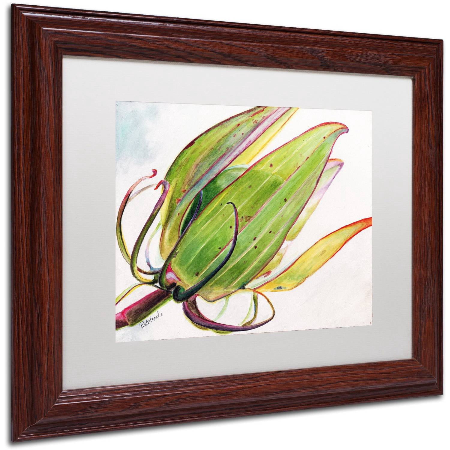 Trademark Fine Art "Flower Pod" Canvas Art by Jennifer Redstreake White Matte, Wood Frame