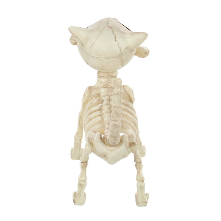Skeleton Action Figures Skeleton Dog Skeleton Child Skeleton