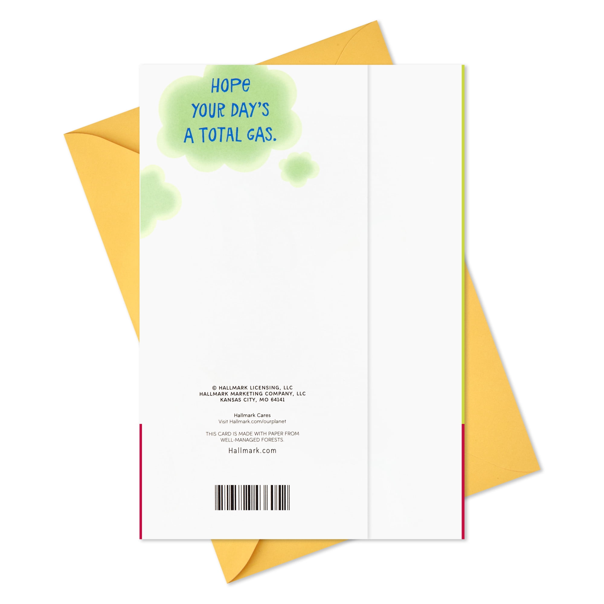 Hallmark Funny Birthday Card (Farting Donkey)