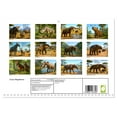 thumbnail image 2 of Crazy Megafauna (Monthly Wall Calendar 2026 16.5 x 23.4 (open)), CALVENDO 14 Month Calendar, 2 of 9