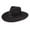 Black, variant on Charlie 1 Horse Children's Highway Jr Black Felt Hat CWHIJR-403407