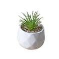 thumbnail image 1 of Kearding Mini plantas suculentas artificiales, simulación de bonsái, flor falsa con maceta, paisaje en maceta, suministros para de salón Type6 NO6, 1 of 6