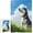 500 PCS, variant on 500 Piece Husky Dog Puzzle for Adults, Finished Size 20.5" x 15", Perfect for Family Game Night