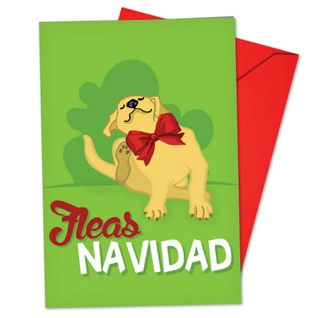 B6737GXSB Merry Pets Christmas Cards' Box Set of 12 Funny Merry Christmas Note Cards with Envelopes by