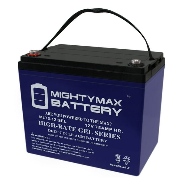 12V 75AH GEL Battery Replacement for Interstate SRM24