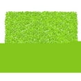 thumbnail image 1 of Shagy Lime Lime à 4 Poils Longs 4,7 X 7,7, 1 of 1