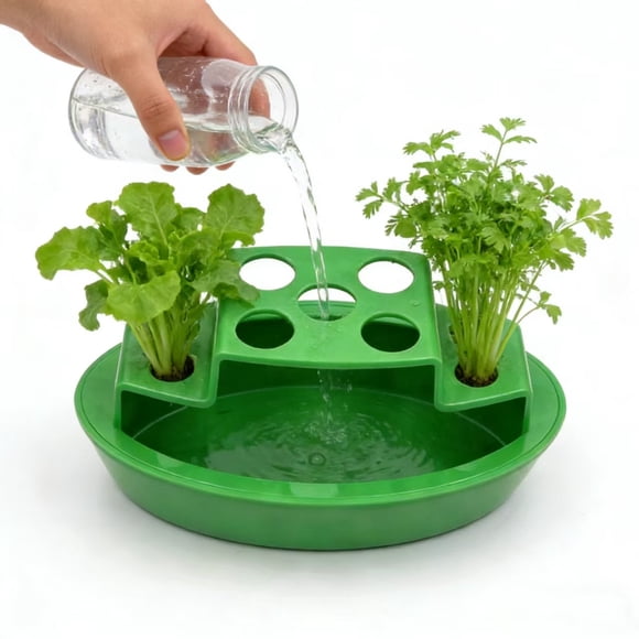 Kadlawus Hydroponic Planter, Green Onion Growing Container, Indoor Water Garden Kit, Windowsill Vegetable Pot For Scallions, Kitchen Herb Grower