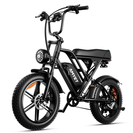 AMYET G60 Electric Bike 750W E Bike 48V/20Ah 20" Fat Tire Mountain Bicycle for Adult