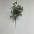 thumbnail image 1 of Flocked Dusty Basil, 1 of 3