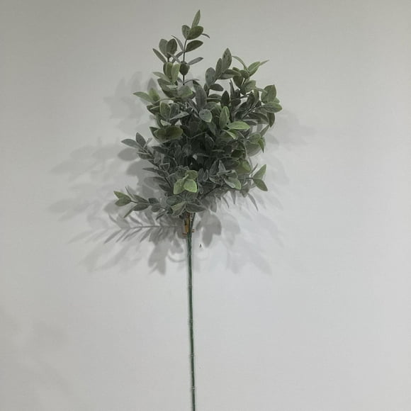 BASILIC FAUX FLEUR