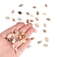 thumbnail image 3 of 1 Caja Multi de Naturales para Joyas o Mini Vonchas, 3 of 9