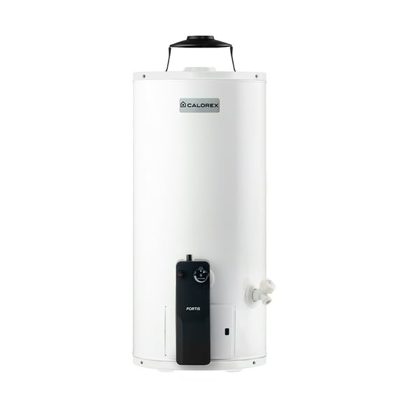 Calorex Boiler Calentador de Agua De Deposito Fortis G10 Para 1 Servicio Gas Nat