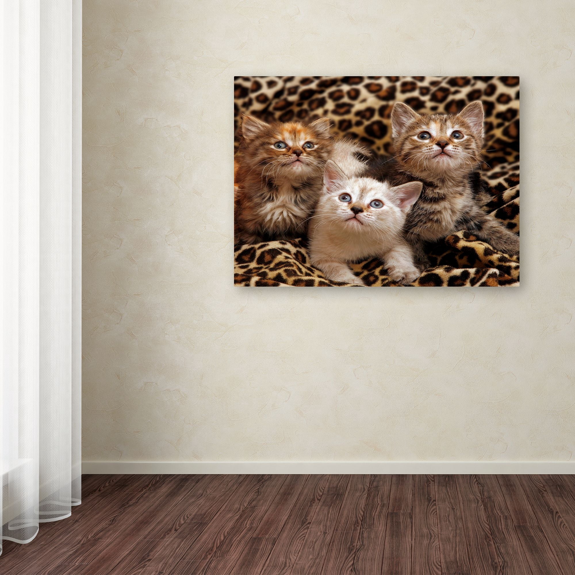 Trademark Fine Art 'Kittens 3' Canvas Art by Mike Jones Photo