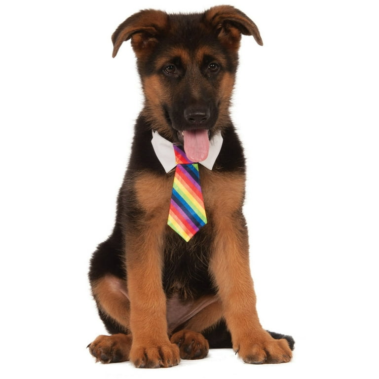 Rainbow Tie Pet Costume Rainbow Tie Pet Costume