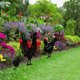 thumbnail image 5 of Decoración de jardín, adorno de silueta de pollo, patio trasero, césped, patio, silueta de Metal, Decoración 3 Piezas kenally HA004257-00, 5 of 6