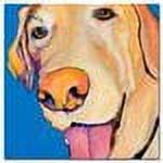 Trademark Fine Art Animals Canvas Art ' Rex ' by Pat Saunders-White