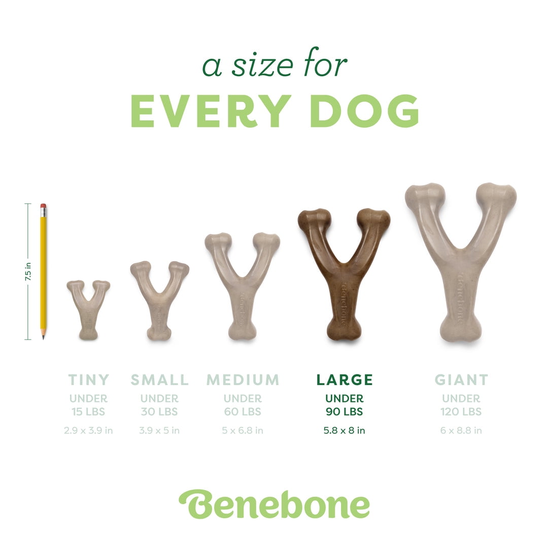Benebone Wishbone Durable Dog Chew Toy for Aggressive Chewers, Real Peanut, Large