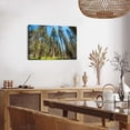 thumbnail image 2 of Giant Sequoia Trees Canvas Wall Art, Redwood Forest Print, Tall California Trees Artwork for Living Room Bedroom Office Decor, Ready to Hang, 2 of 6