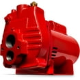 thumbnail image 4 of Red lion RJC-75-PREM 3/4 HP Premium Convertible Jet Pump, 115/230V, 4 of 8