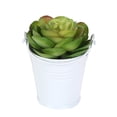 thumbnail image 4 of Cute Mini Solid Color Pail Bucket Wedding Party Candy Favours Home Hotel Decor by Mightlink, 4 of 7