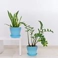 thumbnail image 2 of Tutuviw 8 Pcs Plastic Planters Indoor Flower Plant Pots, Mini Flower Seedlings Nursery Pot / Planter / Flower Pot with Pallet, Modern Decorative Gardening Containers (Size M ), 2 of 7