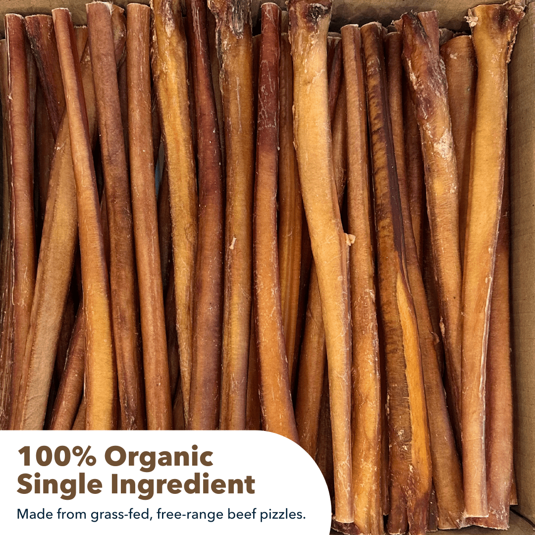 12" Thick Bully Sticks Display Box (40 ct) with Individual UPC Tags - 100% All Natural Beef